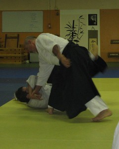 18.06.2014 | Didier Boyet 6e Dan Shihan du groupe Birankai anime le cours à Morangis  