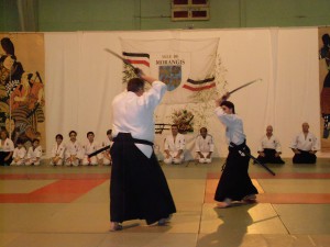 31.01.2015 | Aikibudo Essonne FFAAA   